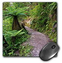 【中古】【輸入品・未使用】3drose New Zealand South IslandカフランギNP Opararaアーチトラック(マウスパッドMP 189109?_ 1?)
