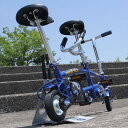 ラスト1台！「変わった自転車」QU-AX - ミニ　タンデムバイク