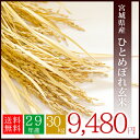 \ポイント10倍/ 29年産 宮城県産 ...