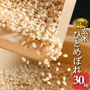 玄米 宮城県産 ひとめぼれ 30kg 1袋 送料無料 令和元...