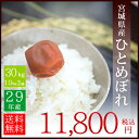 29年産 宮城県産 ひとめぼれ 30kg (10kg 3袋)...