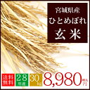 28年産 宮城県産 ひとめぼれ 玄米 30kg 宮城県産/ひとめぼれ/おてんとさん/送料無料