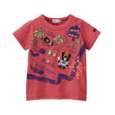 ダブルB(おススメ)mikihouse DOUBLE.Bトレジャーハンター半袖Tシャツ日本製(120cm、130cm)