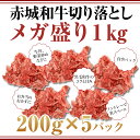 ギフト 赤城和牛切り落としメガ盛り1kg(200g×5パック)【送料無料】【冷凍】【黒毛和牛】【真空パック】【小分け】【メガ盛り】