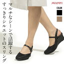 【送料無料】【予約:9月下旬頃順次出荷】【新商品】【AKAI...