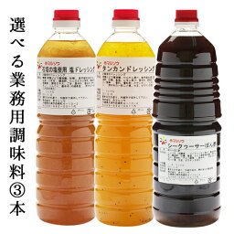 【選べる】 業務用調味料 3本 送料無料 塩ドレッシング 沖縄　島一番　産地直送　石垣の塩　沖縄　ドレッシング たれ　ぽん酢　タンカン　シークヮーサー　柑橘系　サラダドレッシング　業務用ドレッシング