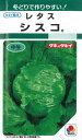 タキイ種苗【レタス種子】シスコ(0・9ml) 種 野菜 種 秋まき 秋 播き タネ たね 野菜種 秋まき野菜 家庭菜園 プランター 菜園 ガーデニング ベランダ 作りやすい 園芸用品 地産地消 初心者 農業 畑 栽培