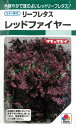 タキイ種苗【レタス種子】リーフレタス レッドファイヤー(1.3ml) 種 野菜 種 秋まき 秋 播き タネ たね 野菜種 秋まき野菜 家庭菜園 プランター 菜園 ガーデニング ベランダ 作りやすい 園芸用品 地産地消 初心者 農業 畑 栽培