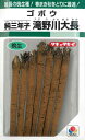 タキイ種苗【牛蒡種子】純三年子 瀧の川大長牛蒡(9ml) 種 野菜 種 秋まき 秋 播き タネ たね 野菜種 秋まき野菜 家庭菜園 プランター 菜園 ガーデニング ベランダ 作りやすい 園芸用品 地産地消 初心者 農業 畑 栽培