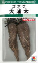 タキイ種苗【牛蒡種子】大浦太牛蒡(9ml) 種 野菜 種 秋まき 秋 播き タネ たね 野菜種 秋まき野菜 家庭菜園 プランター 菜園 ガーデニング ベランダ 作りやすい 園芸用品 地産地消 初心者 農業 畑 栽培