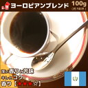 ヨーロピアンブレンド 100g コーヒー豆 コーヒー粉 珈琲...