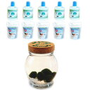 養殖マリモ5個 と まりものお食事5個 と ミネラル鉱石5個 のまりも育成セット 【水草】【植物】【アクアリウム】【北海道お土産】【雑貨小物】【グッズ】【小物】【販売】【通販】【インテリア】