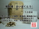 柴朴湯 サイボクトウ 煎じ薬 10日分 小児喘息 気管支ぜん...