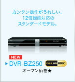 ݌ɂ܂IOHd@@MITSUBISHI@HDDu[CfBXNR[_[@DVR-BZ250
