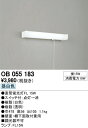 OB055183 流し元灯 (蛍15W) 蛍光灯(昼白色) オーデリック 照明器具【RCP】