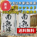 【新米 魚沼産コシヒカリ 令和2年産 無洗米 10kg(5Kg×2袋)】 送料無料 お米 新潟県 こしひかり 訳あり 2等米 産地直送