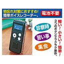 ファミリーライフ 押すだけ簡単録音小型デジタル録音機 3706 03706