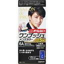 ダリヤ 【サロンドプロ】 ワンプッシュメンズ 6A深みのあるアッシュブラウン