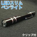 【パイナップル】LEDスリムペンライト ブラック