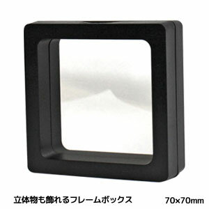 【パイナップル】フレームボックス 70x70mm ブラック 立体物を挟んで飾る フィギュア…...:akibaoo-r:10154758