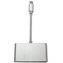 【パイナップル】USB Type-C to USB3.0/VGA/Type-Cメス 変換アダプタ