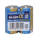 【アイリスオーヤマ IRIS】単2アルカリ乾電池 BIG CAPA α 2本パック シュリンク包装 LR14IB/2S