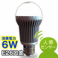 アイリスオーヤマ ECOLUX エコルクス 人感センサー付きLED電球 LDA6L-H-S 電球色相当 口金E26