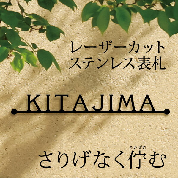 【ポイント10倍企画実施中16日まで】まるでカフェ看板・おしゃれな切り文字"猫"犬"オプション 戸建 のアイアン風ステンレス表札