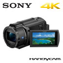SONY デジタルビデオカメラ ハンディカム 4K