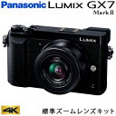 パナソニック ミラーレス一眼カメラ ルミックス LUMIX ...