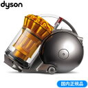 ダイソン 掃除機 DC48 タービンヘッド サイクロン式クリーナー DC48THSY アイアン/サテンイエロー 【送料無料】【KK9N0D18P】