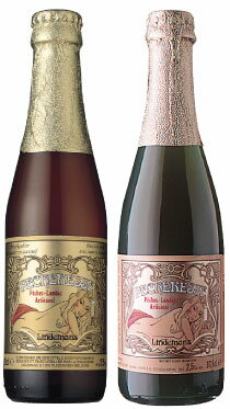 ԡι꤬ե롼ƥʥ٥륮ӡ롣 ǥޥ󡦥ԡ(ߥ)250ml/24