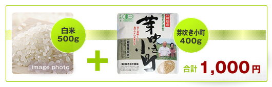 有機自然乾燥（白米＋芽吹き小町）【送料無料】井手家のお試しパック