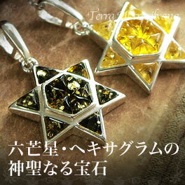 【tr1050】ヴィクトリーゴールドが勝利をもたらす！琥珀の六芒星ペンダント【メンズアクセサリー】【欧州ブランド】【アジャスター付きチェ-ン付属】 【smtb-kd】【楽ギフ_包装】【YDKG-tk】【10P14Jan11】