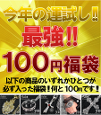 【2011fuku-100】★最強!!100円福袋!!今年の運試しに是非!!※お一人様1点限り!!