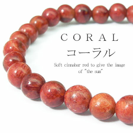 ň!!ANZȂ炨C!!3000ނ̕i!!YfB[XoGLx!!ypwb12z_̗́IR[295~Ip[Xg[VR..