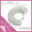 リングゲージ サイズ測り 1号〜30号 偶数対応 ペアリング...
