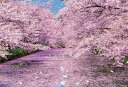 ジグソーパズル BEV-33-184 風景 弘前公園の桜 300ピース パズル Puzzle ギフト 誕生日 プレゼント