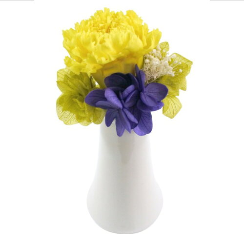 https://thumbnail.image.rakuten.co.jp/@0_mall/alicenojikan/cabinet/00883283/02459896/03526931/imgrc0079508557.jpg?_ex=500x500
