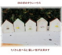 ミニチュアハウス ほのぼのタウンハウス【ガーデニング/ミニチュア/雑貨/ インテリア アンティーク ミニチュア 家具 ガーデニング雑貨】 【アリスの時間】10P01Sep13★