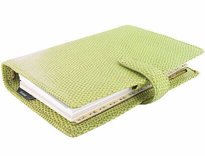 【送料無料】カメレオン　バイブル　Spring Green ファイロファックス　filofax　システム手帳