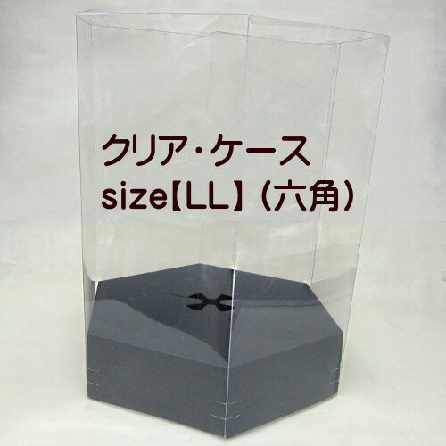 ギフト用　透明ケース（オプション）　六角形型　【LL】サイズ