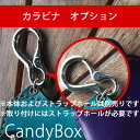 アイコス ケース CandyBOX専用 カラビナオプション iQOS アイコスケース 名前入り 【本体は付属しません。本体と一緒にご購入下さい】