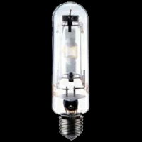 yz@nCbNX100Wȋ̐FjMT100SDW(SWCD)