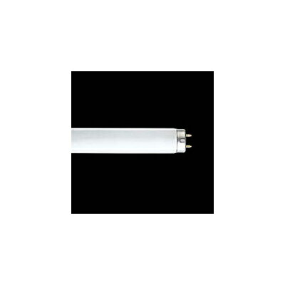 ☆東芝　メロウホワイト　直管スタータ形蛍光ランプ（蛍光灯）　20形　昼白色　ワットブライター　FL20SSN18