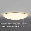 ☆東芝 補修用セード(グローブ) アクリル乳白 一般住宅用 FVHC66510 ※受注生産品