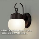 ☆東芝 補修用セード(グローブ) ガラス・透明 一般住宅用 LEDX88910 ※受注生産品