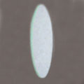y|Cg2{IzOKAMURA@X[p[N[NX@35WpUVJbgY@yP0601z