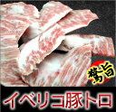 イベリコ豚 豚トロ トントロ 焼肉用(約4~6人前) 業務用 使い安い真空パック