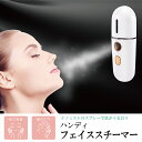 フェイススチーマー ハンディ ミニ ミスト USB充電式 加湿器 ナノミスト ハンディミスト 美顔器 保水 乾燥 コンパクト ポータブル 持ち歩き 保湿 毛穴ケア ホームエステ スキンケア 熱中症予防